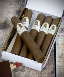 Davidoff Winston Churchill Petit Panatela Cigars (The Raconteur) – Pack of 5